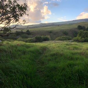 Meet your Posher, Elena